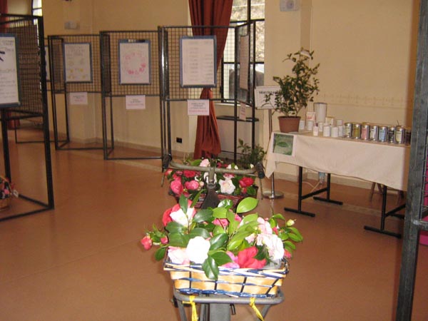 Angera mostra 2008